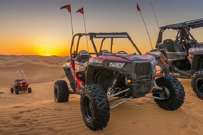 1-Hour Desert Buggy Self-Drive Adventure: Camel Ride & Sandboard - Camel Ride: The Change of Pace You’ll Appreciate Later