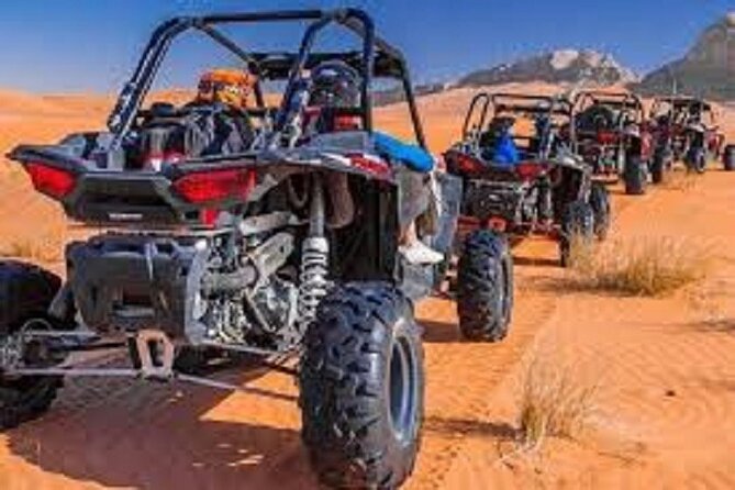 1-Hour Desert Buggy Self-Drive Adventure: Camel Ride & Sandboard - Water, Timing, and How to Feel Comfortable