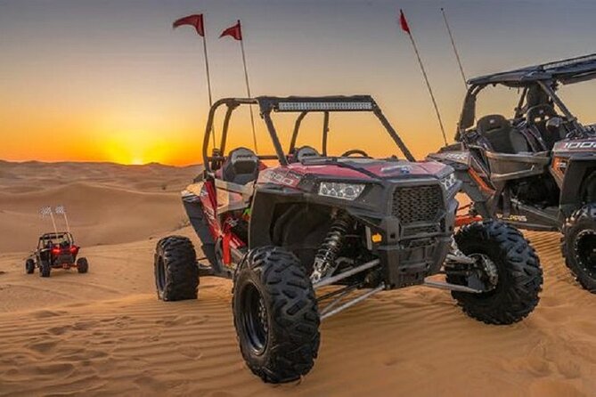 1-Hour Dune Buggy Self Drive with Camel Ride and Sand Boarding in Red Dunes - Price and value at about $180 per person