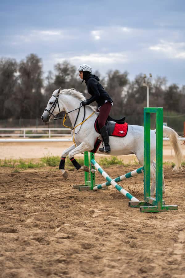1 Hour Horseback Dubai Desert Park Ride - Mushrif Park: Dubai’s Horse Ride That Actually Feels Like a Park