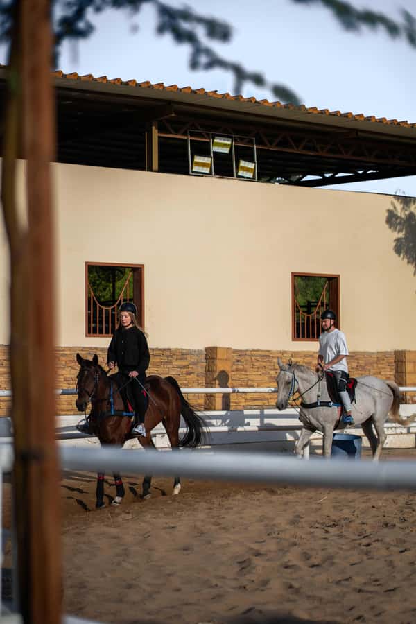 1 Hour Horseback Dubai Desert Park Ride - After the Saddle: Untacking, Grooming, Shower Time, and Carrots