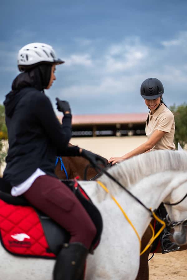1 Hour Horseback Dubai Desert Park Ride - Practical Tips Before You Go