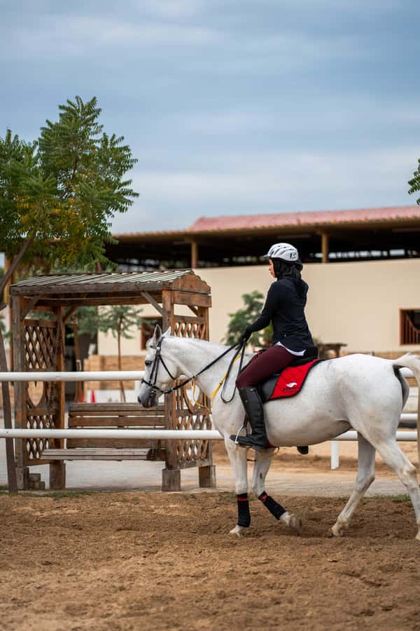 1 Hour Horseback Dubai Desert Park Ride - Meet-Up and Getting Ready at the Stables