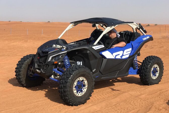 1 Hour Majestic Arabian Desert Buggy Tour - Inside the 1-Hour Plan: From Lahbab Drive to Dune Time