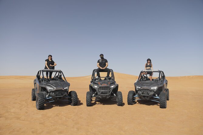 1 seater Dune Buggy Safari / In Morning - Price and Value: Is Around $167 Worth It?