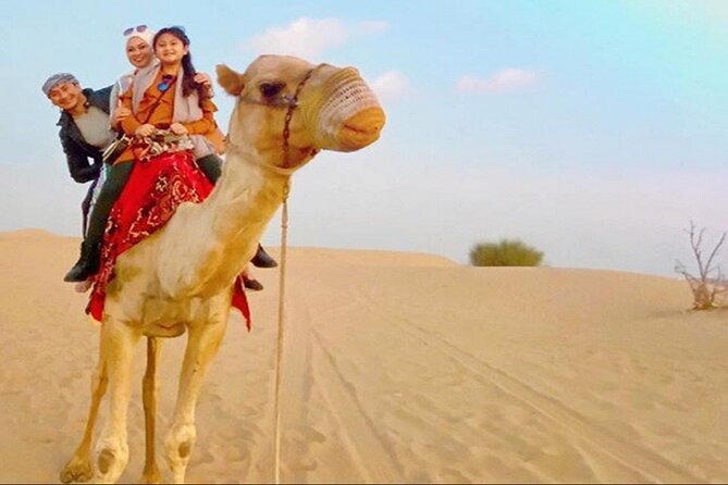 2-Day Abu Dhabi and Dubai City Tour with Desert Safari - Logistics Reality Check: Pickup, Coordination, and Your Safety Net