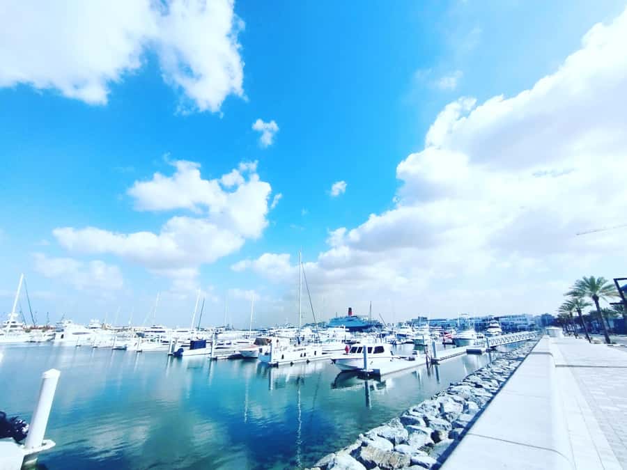 2 hrs Sailing tour with views on Burj Khalifa, Dubai skyline - Practical Tips Before You Go