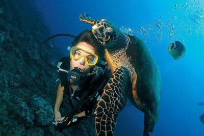 3-Day PADI Open Water Diving Course in Dubai