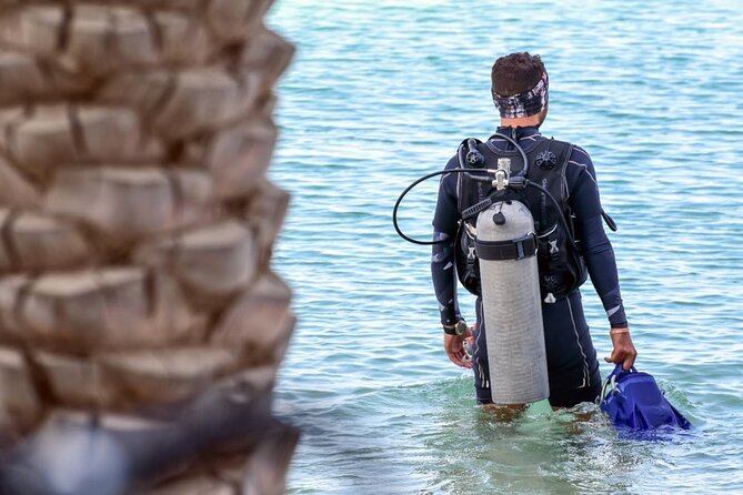 3-Day PADI Open Water Diving Course in Dubai - E-learning timing (370 AED): finish exams before your last checkout