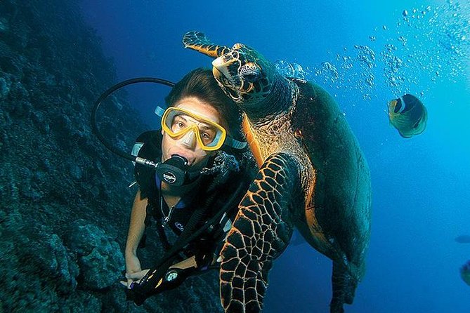 3-Day PADI Open Water Diving Course in Dubai - Meeting point and your first contact with the staff