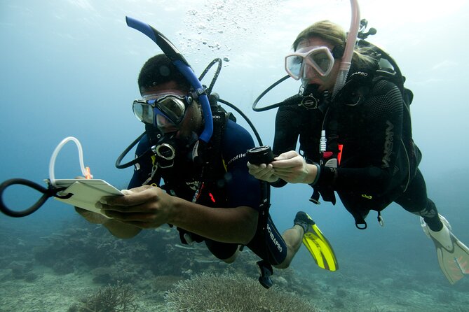 4 Day Certified PADI Open Water Scuba Diver in Dubai - What to do before you arrive in Dubai (so day one feels easy)