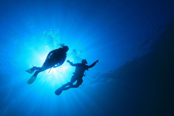 4 Day Certified PADI Open Water Scuba Diver in Dubai - Who this course is best for, and who should think twice