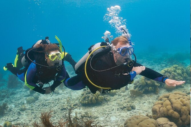 4 Day Certified PADI Open Water Scuba Diver in Dubai - The 4-day flow: theory, pool skills, then open-water sessions off Jumeirah