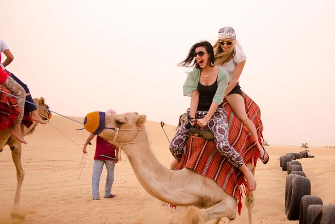4-Day Private Dubai and Abu Dhabi Tour - Who This Tour Suits Best