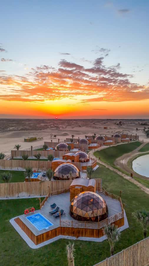 4-Day UAE Cultural Journey: Dubai, Abu Dhabi & Al Ain - Al Ain Camel Market and UNESCO Al Ain Oasis, plus falaj irrigation