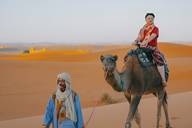 4 Hour Morning Desert Safari with Camel Ride & Sand Boarding - Food Options: Brunch Add-On Versus No-Fuss Morning