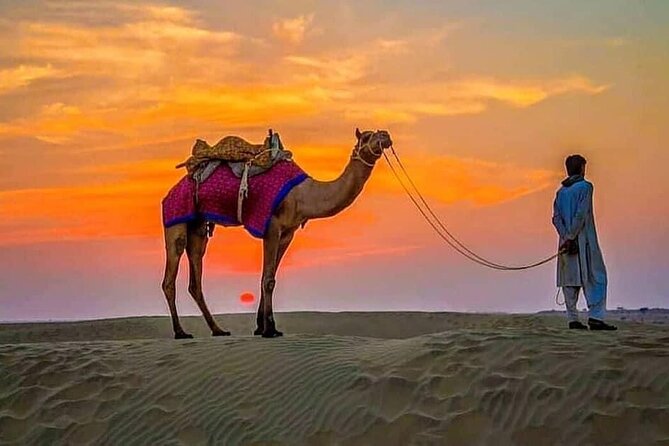 4 Hours Desert Safari - Camel ride (10 minutes) and what the optional open desert ride adds
