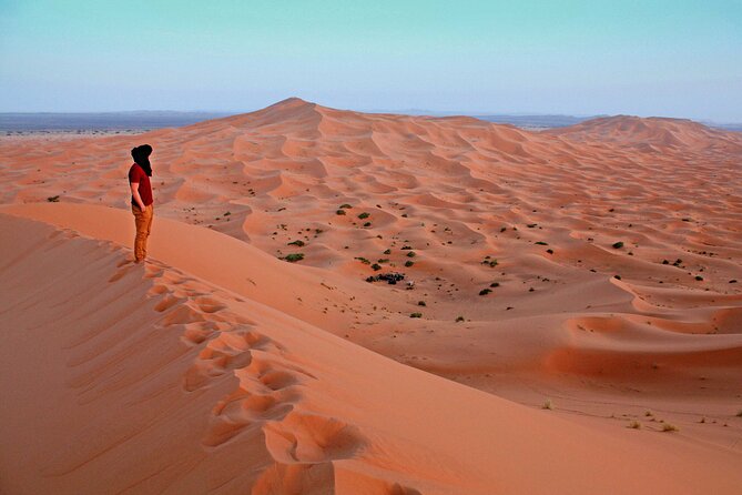 4x4 Arabian Adventure Desert Safari with BBQ Dinner - 4WD into Dubai’s Red Dunes: the point of this safari