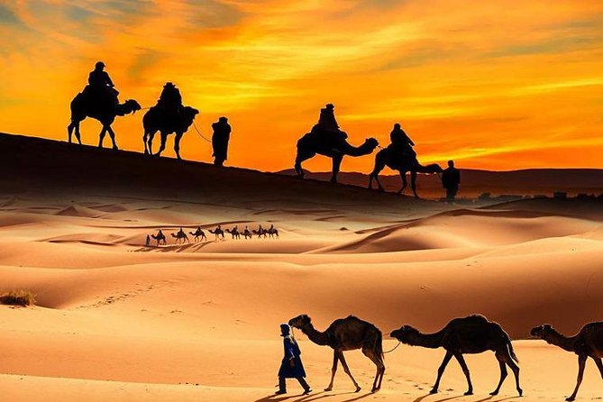 4x4 ATV Quad Biking Dubai Desert Tour - 1 Hour Experience - Who This Tour Fits Best and Who Should Skip It