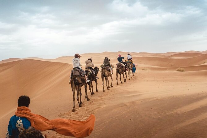 4x4 Desert Safari Abu Dhabi with BBQ Dinner - 4x4 Desert Safari in Abu Dhabi, 6 Hours Done Right
