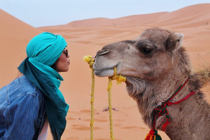 4x4 Desert Safari Abu Dhabi with BBQ Dinner - The Real Star: Dune Bashing (Rollercoaster Style)