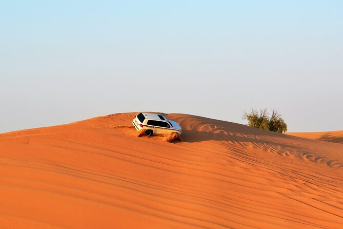 4x4 Desert Safari Abu Dhabi with BBQ Dinner - Arabian Coffee and Fresh Dates, The Camp Warm-Up