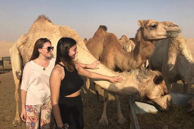 4X4 Private Abu Dhabi City Tour with Abu Dhabi Evening Desert Safari From Dubai - Camel farm, camel riding, and Arabian camp culture