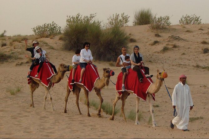 4x4 Self-Drive Quad Bike Safari with Camel Riding - Camel Riding Included With the Safari Vibe