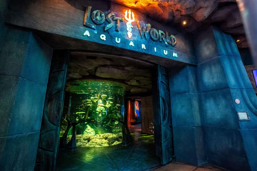 5-Day Pass: Hop-On Hop-Off, Lost World Aquarium, Dubai Frame - Why this pass feels built for first-time Dubai days