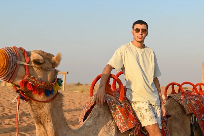 57 Camel Voyage - Desert Conservation Reserve, not the usual dune stampede