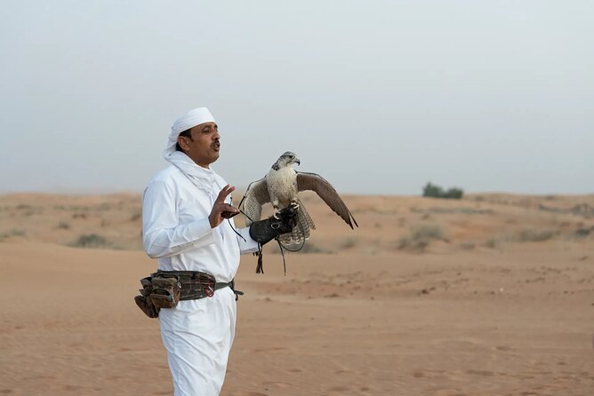 57 Camel Voyage - Falconry and fire dancing: the real sunset-stage moment