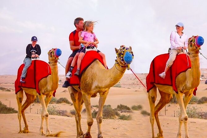 6 Hour Thrilling Desert Safari in 4x4 with Entertainment Show - The BBQ buffet dinner: what you are actually paying for