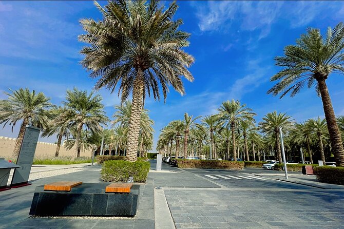 8 Hours Al Ain City Tour without lunch - Al Ain Oasis: the green pause that changes the mood
