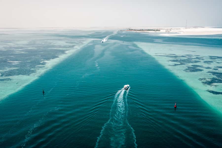 Abu Dhabi: 4-Hour Guided Cruise & Island Hopping - Key things I’d watch for on this cruise