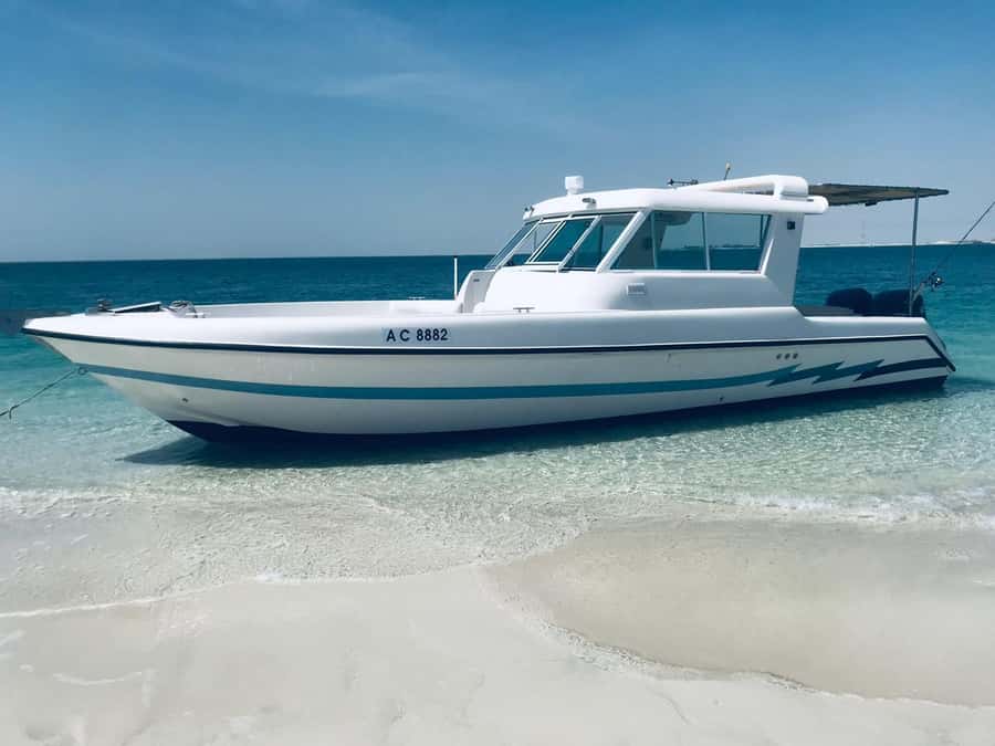 Abu Dhabi: 4-Hour Guided Cruise & Island Hopping - Abu Dhabi from the water feels like a shortcut to wow