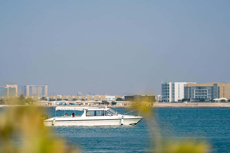 Abu Dhabi: 4-Hour Guided Cruise & Island Hopping - Price and value: what $108 buys you in real terms