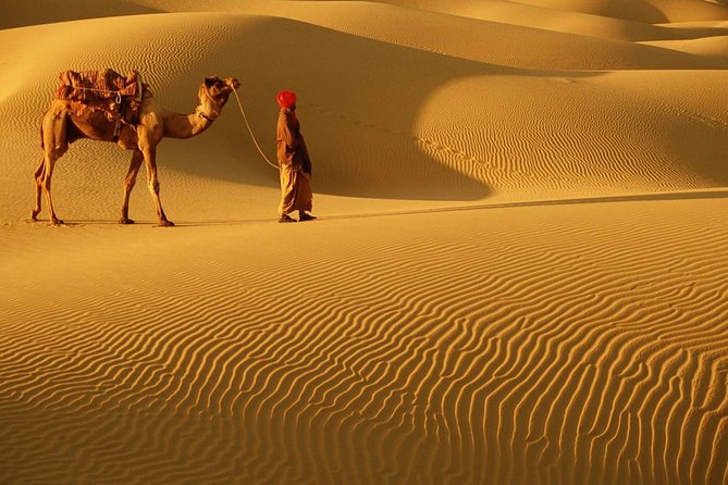 Abu Dhabi 4x4 Desert Safari BBQ Dinner , Camel Ride , Belly Dance - Key things to know before you go
