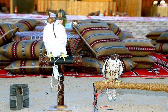 Abu Dhabi Afternoon Desert Safari and BBQ Dinner - Bedouin Camp Evening: Henna, Local Costumes, and Camel Time
