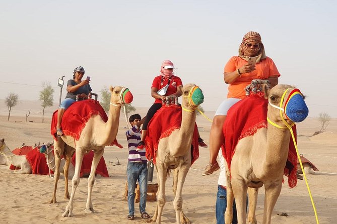 Abu Dhabi city tour & desert safari from Dubai - The campsite night: BBQ, henna, and the show lineup