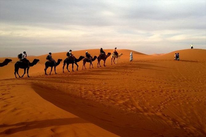 Abu Dhabi City Tour with Desert Safari Adventure - Value check: is $270 worth a full city plus desert day?