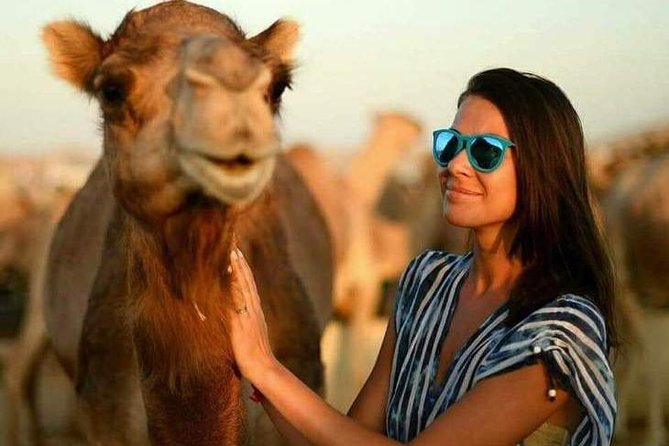 Abu Dhabi Desert Safari 4x4, BBQ Dinner, Camel Ride - Sandboarding on a High Dune, Plus Costume Photos and Quick Refreshments