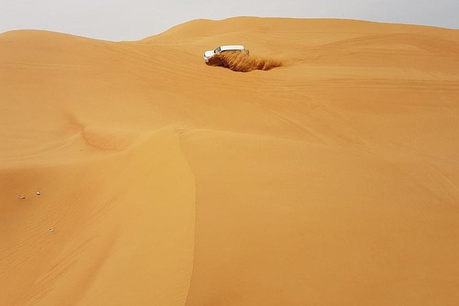 Abu Dhabi Desert Safari 4x4, BBQ Dinner, Camel Ride - Price, Group Size, and Value for Money in Abu Dhabi