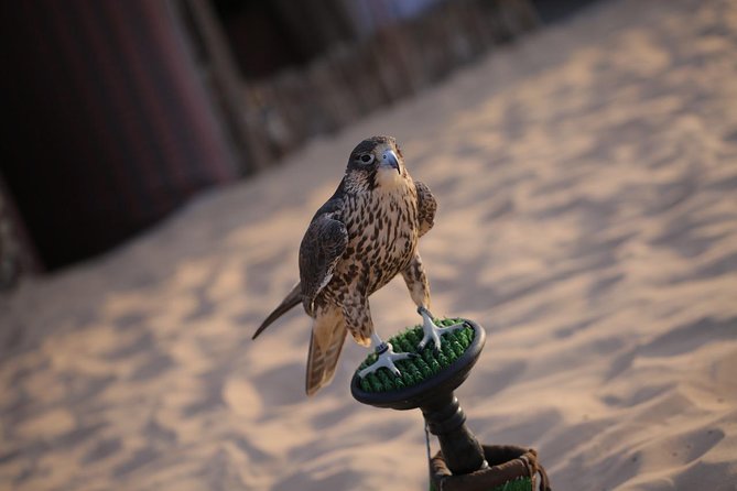 Abu Dhabi Desert Safari (Dune Bashing, BBQ Dinner, Camel Ride & Sand Skii) - 4x4 dune bashing is the main event, and it’s seriously fun