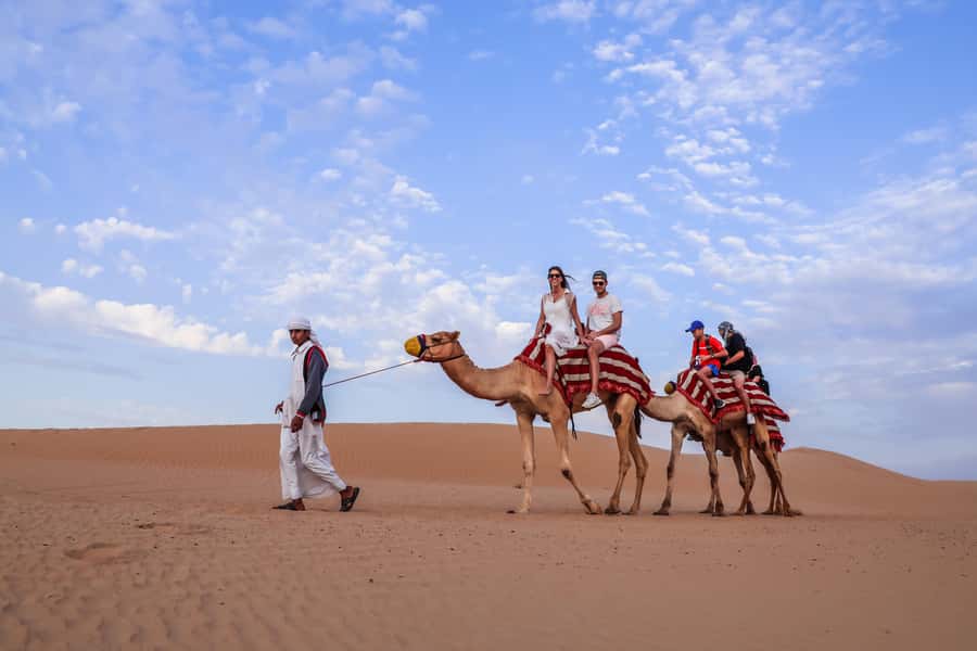 Abu Dhabi: Desert Safari, Quad Bike, Camels & Sandboarding - Who This Safari Is Best For