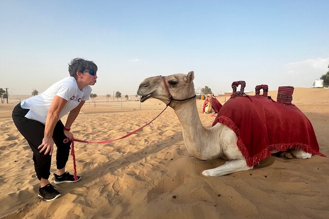 Abu Dhabi Desert Safari Tour with Shows & Buffet Dinner - Entering the desert with an air-conditioned pickup
