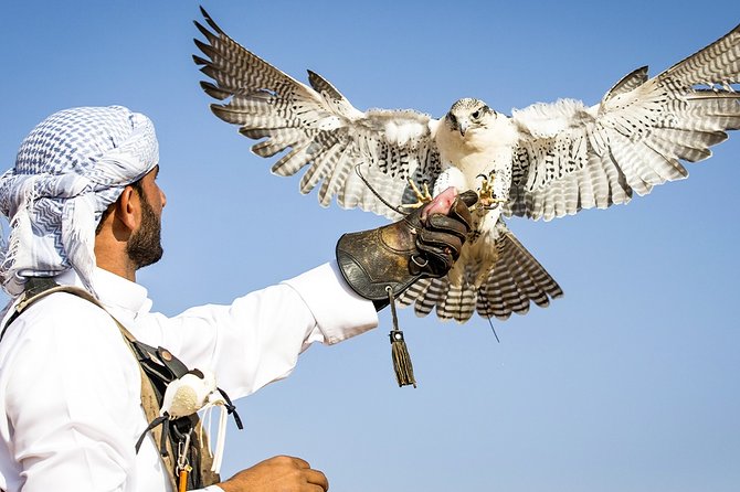 Abu Dhabi: Desert Safari with BBQ, Camel Ride & Sandboarding - BBQ buffet dinner: what’s included and how to pace it
