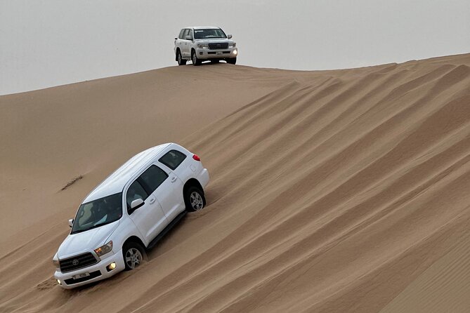 Abu Dhabi Desert Safari With BBQ Dinner & Live Shows - What This Abu Dhabi Desert Safari Is Really Like at Night