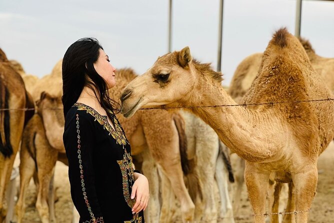 Abu Dhabi Desert Safari With BBQ Dinner & Live Shows - Price and Value: Is $60 Per Person a Fair Deal?
