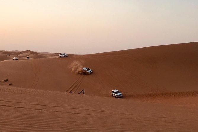 Abu Dhabi Desert safari with BBQ Dinner,Sandboarding & Camel ride - Key highlights you will care about