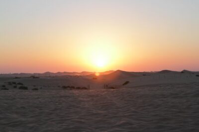 Abu Dhabi Desert Safari with BBQ Dinner & Shows